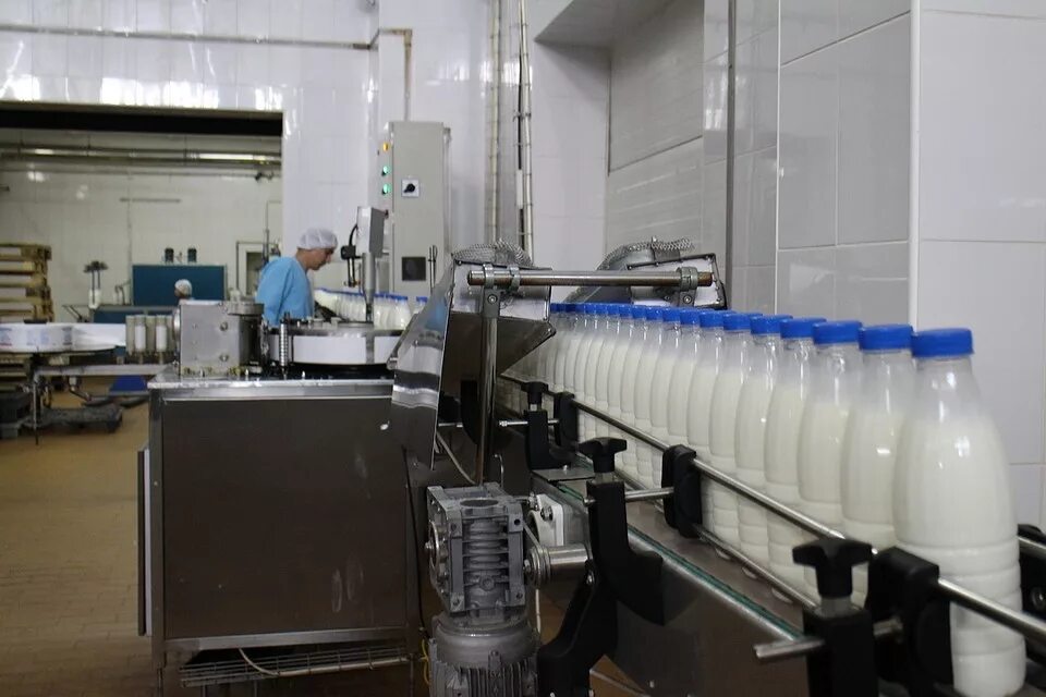 геннадий петрович новатор джанкой. крымско молочный завод в джанкое. джанкойский молокозавод в джанкое. владелец молокозавода новатор. молочный завод новатор.