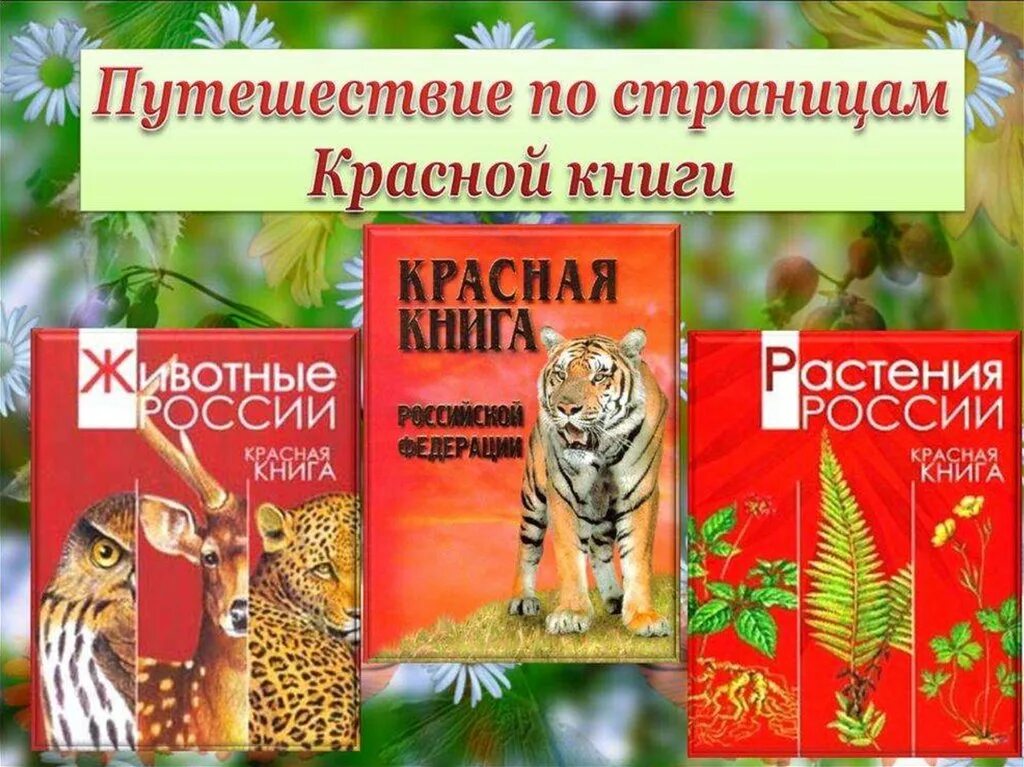 Красная книга России. Красная Клинга. Красная книга обложка. Обложка красной книги России. Организм красной книги