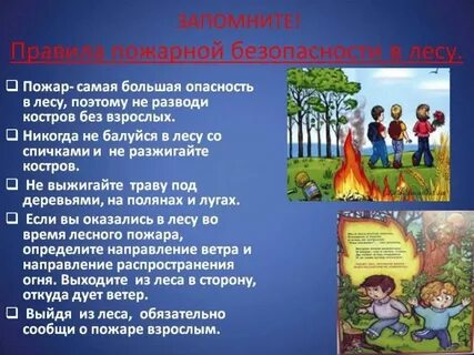 Пожарная безопасность в природной среде обзор