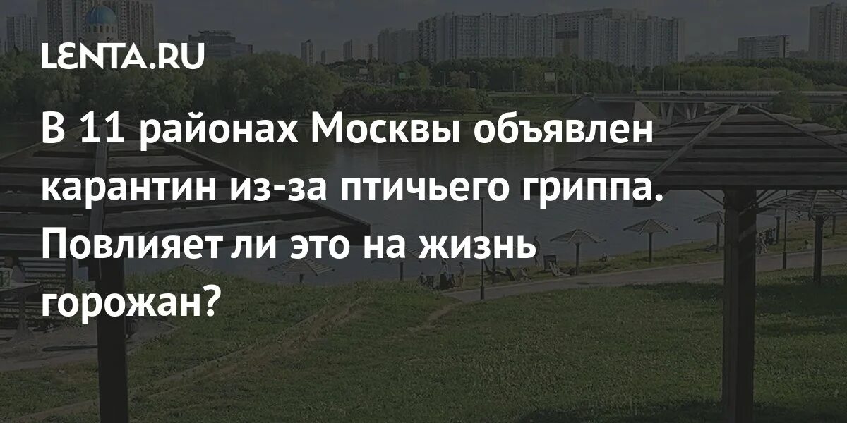 Карантин ковид. Карантин табличка. Карантинные ограничения в москве. Карантинные мероприятия. Карантин по птичьему гриппу.