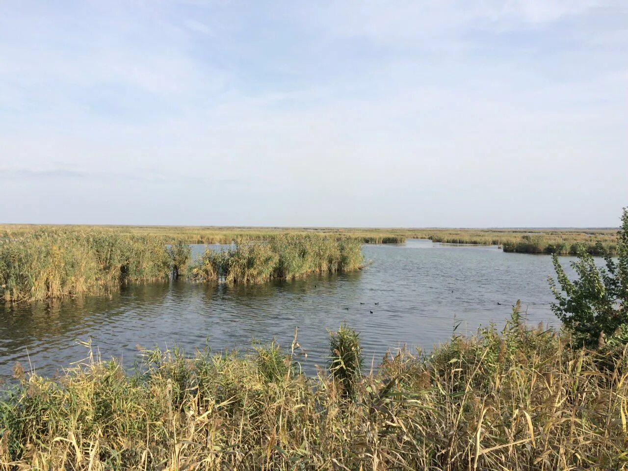 Маныч веселовское водохранилище. Веселовское водохранилище дамба. Веселовское водохранилище вода. Веселовское водохранилище ростовская. Маныч веселовское водохранилище.