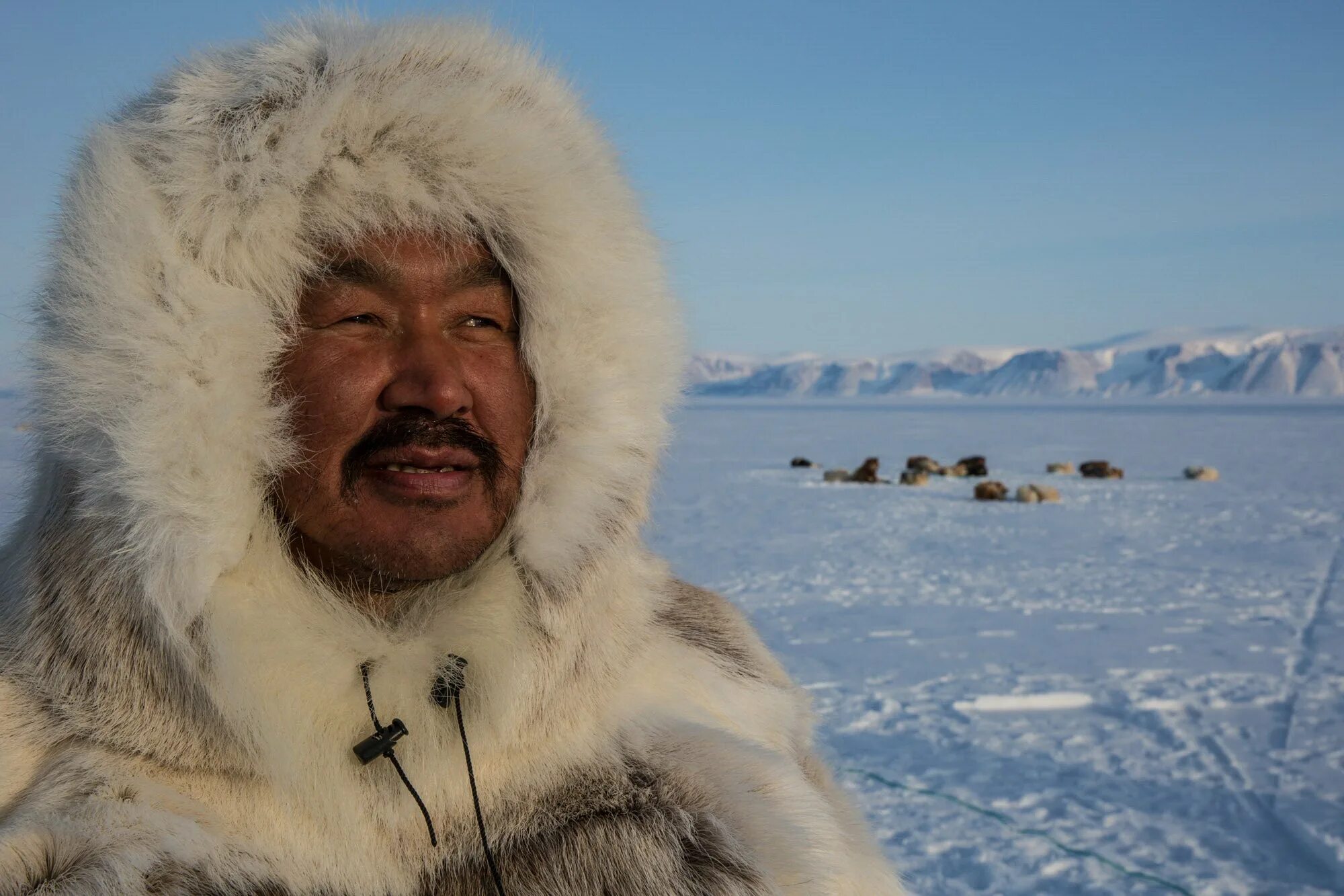 Знающий чукча. Знающий чукча. Чукча карикатура. Эскимосы. Чукчи и якуты.