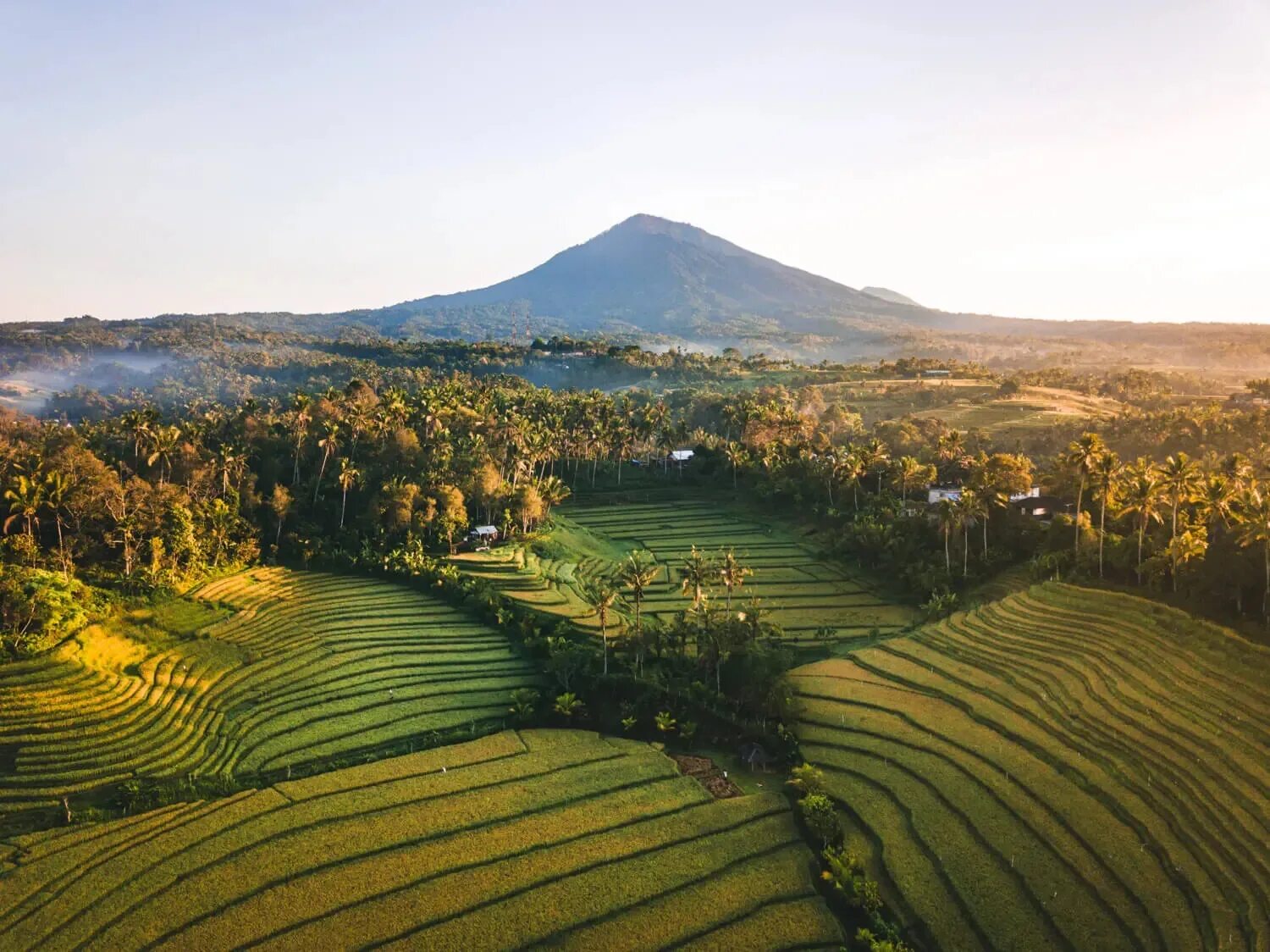 Bali Rice Terraces. Террасы Белимбинг Бали. Кусты на Бали. Бали дорога. Дорога на бали