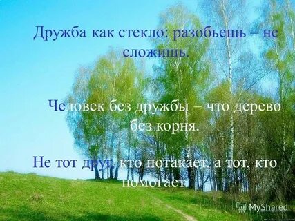 Сильна крыльями а человек дружбой