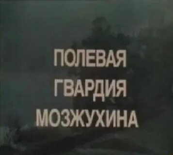 Полевая гвардия 1985
