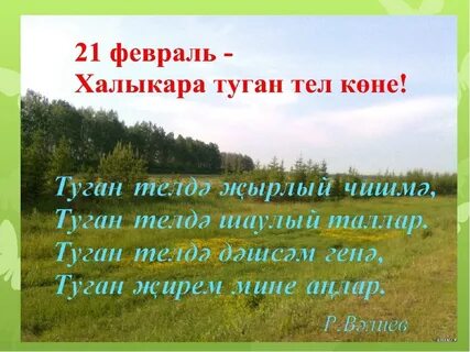 Туган телем