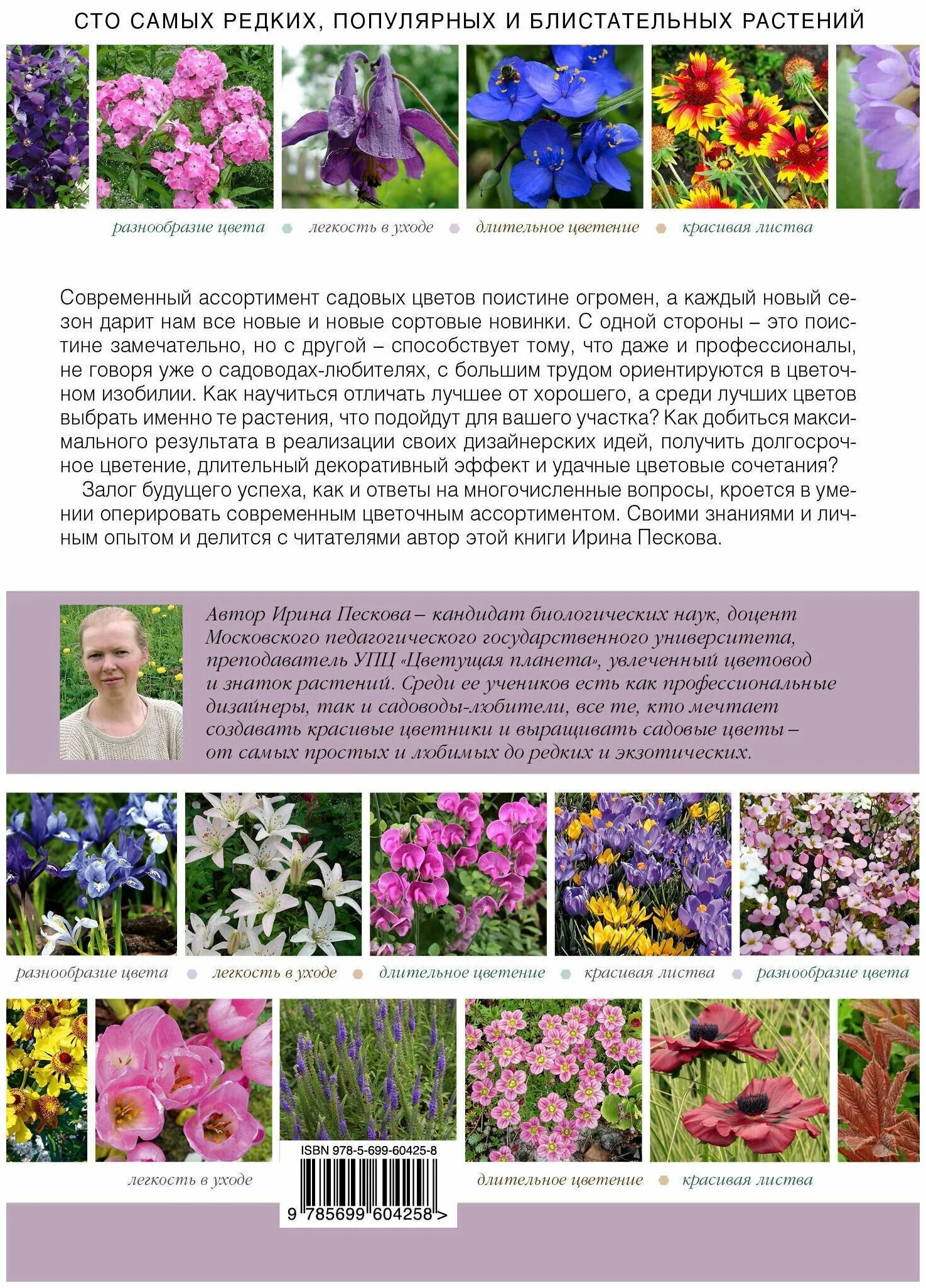 названия цветов для детей. каталог многолетних растений. самые распространенные садовые цветы. садовые цветы каталог. садовые растения список.