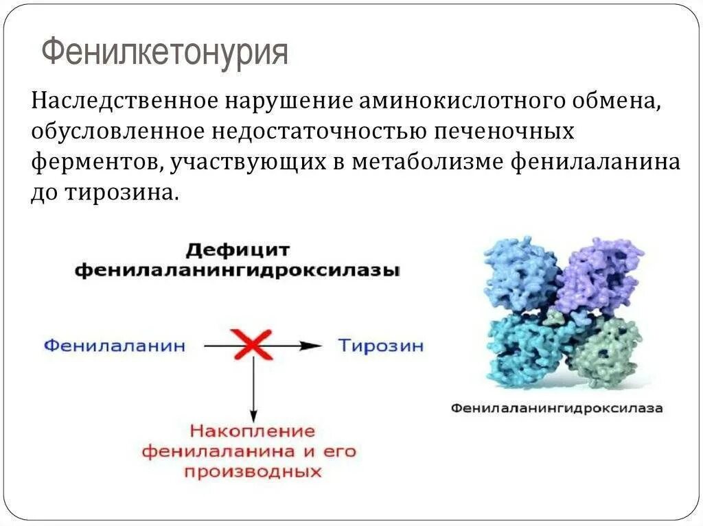 Ферменты патологии. Фенилкетонурия биохимические нарушения. Фенилкетонурия дефектный фермент. Фенилкетонурия нарушение обмена. Фенилкетонурия механизм развития патологии.