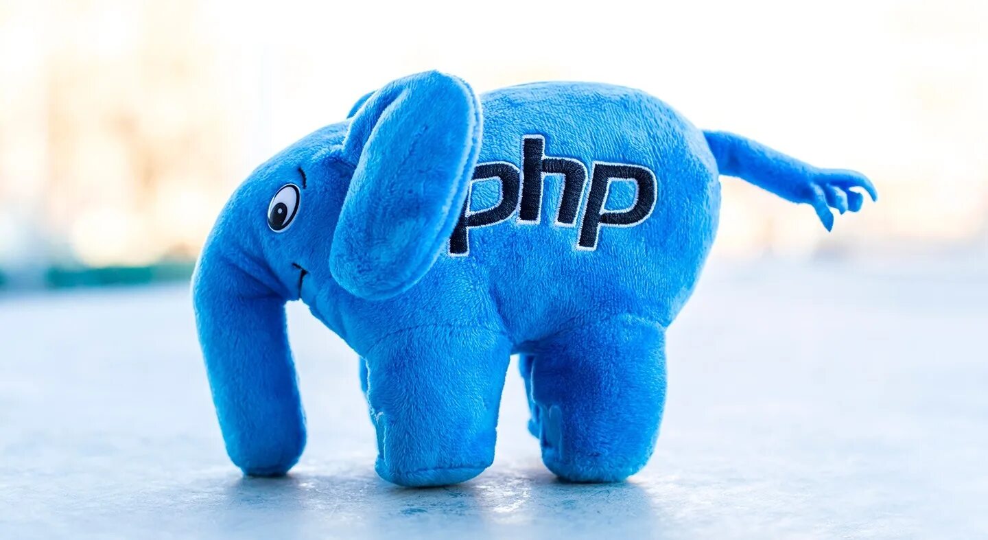 Php internals. Php. Php Elephant. Php 8. Funny php logo PNG.