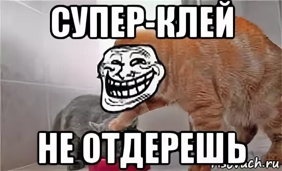 Как отодрать соску от плиты. Отодрать мем. хорошо отодрал.