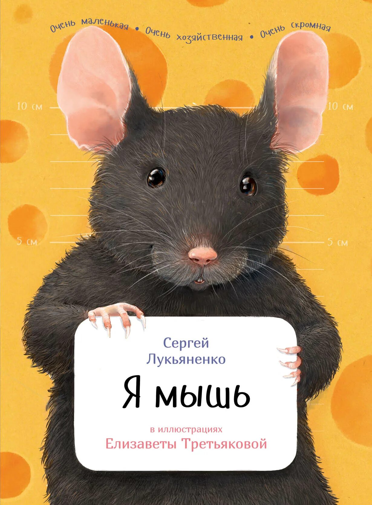 Книга про мышь. Мышка с книгой.