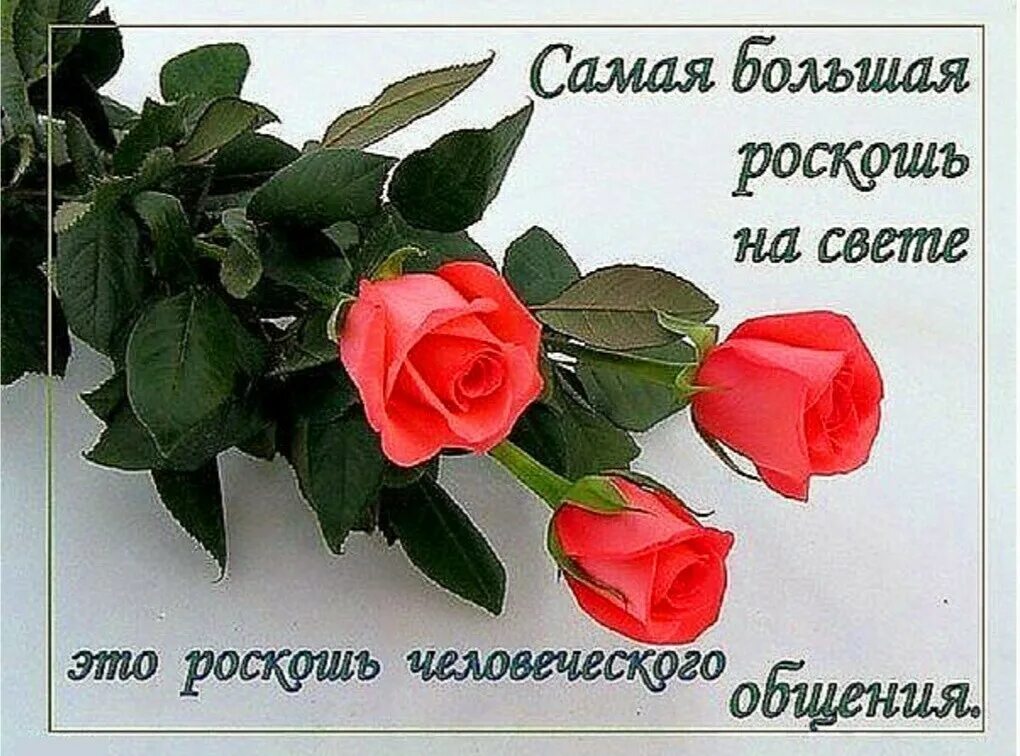 Комплименты девушке в стихах. Цветы для сестры на день рождения. Красивой женщине красивые слова. Подружке с любовью. Комплименты девушке спасибо.