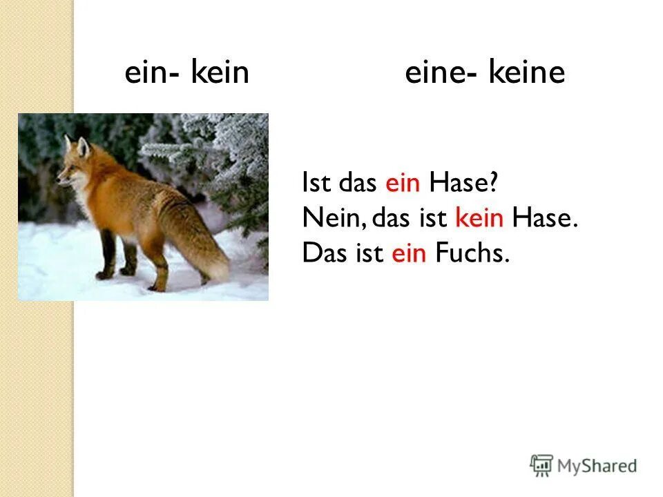 Ein в немецком языке. Kein ein в немецком языке. Отрицание в немецком языке nicht. Ein kein в немецком языке таблица.