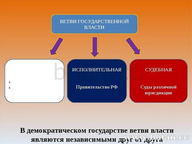 1 из ветвей власти в демократическом государстве