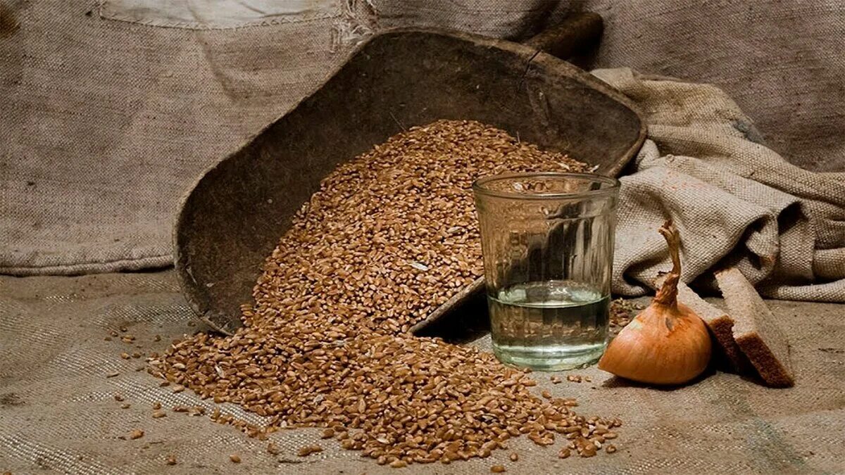 Сноп пшеницы. Что делают из пшеницы. Как поставить пшеницу. Пшеница сток. Самогон из пшеницы.