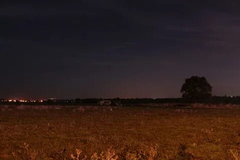 Поле в ночное время