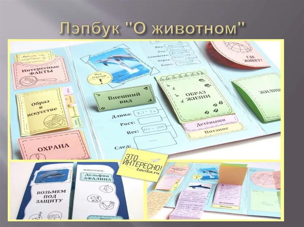 Лэпбук класса. Лэпбук. лэпбук формы. интересные лэпбуки для дошкольников. интересные темы для лэпбука.