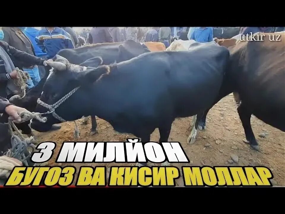 Пастдаргом джума