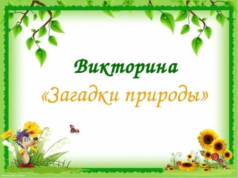 Презентация наш детский сад. Презентация мой ребенок. Классный час моя семья. Презентация мой ребенок. Презентация детский сад.