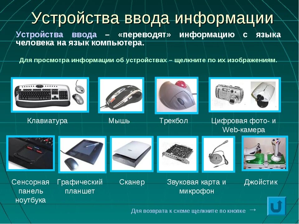 Дополнительные функции можно. К устройствам ввода информации относятся. Устройства ввода компьютера список. Клавиатура мышь графический планшет сканер цифровая камера микрофон. Устройсиваввода информации.