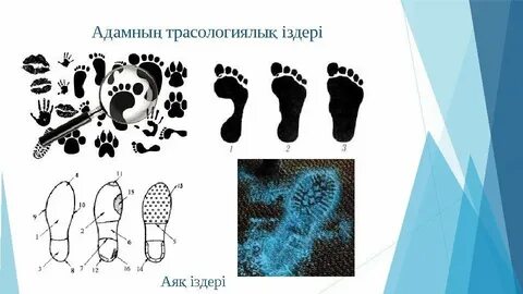 Ол Бразилия порно видео