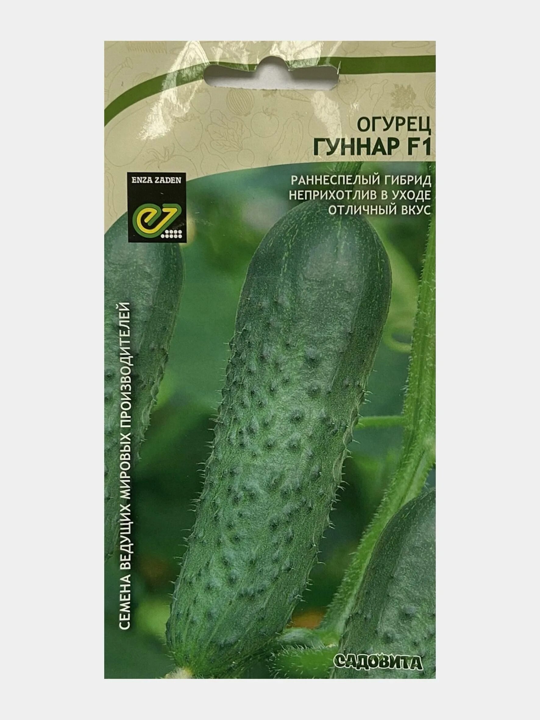 Семена огурцов гуннар f1. Огурец гуннар семена партнер. Огурец гуннар описание. Семена огурцов гуннар f1. Огурец сорт гуннар отзывы.