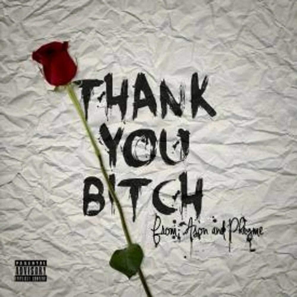 Прикольные надписи на футболках. Ill be dat певица. I am bitch you my bitch. How to be a bitch. Фразы на одежде.