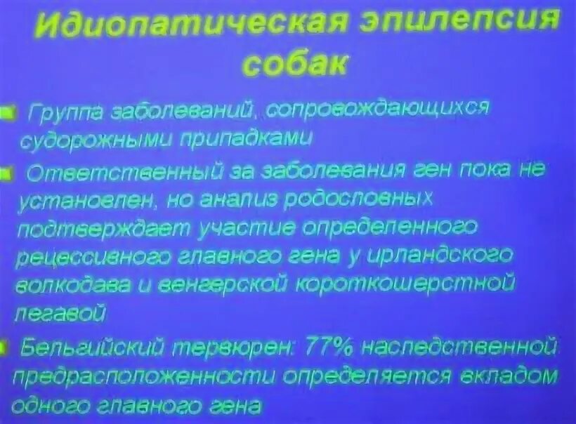 Идиопатическая эпилепсия у собак. Симптомы эпилепсии у собак мелких пород. Эпилепсия у собак причины