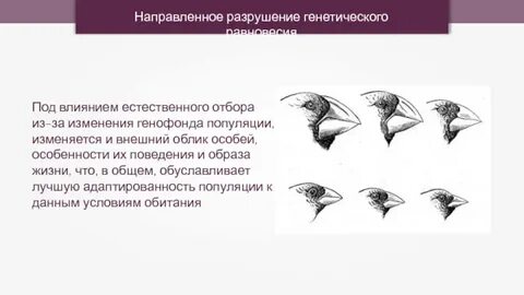 Направленное разрушение