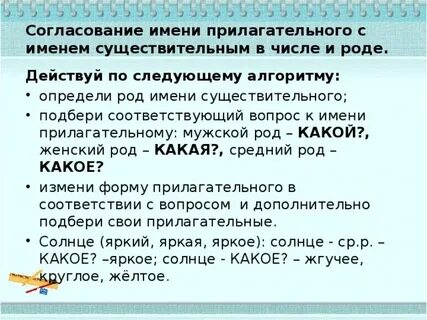 Согласование прилагательного с несколькими существительными