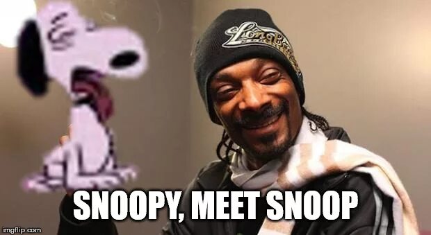 Snoop dogg fly high. Снупи Снупи Догг. Snoop Dogg memes. Снуп дог мемы. Снуп дог эмблема.