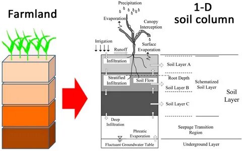 Define root