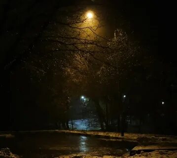 Ночь на первое ноября