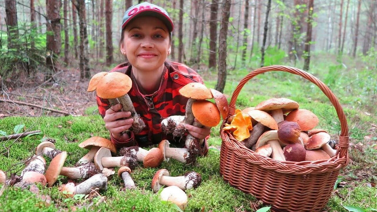 Мода грибника