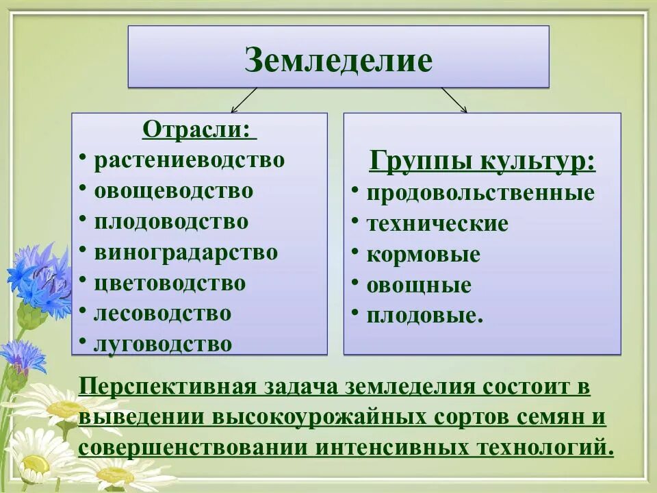 Растениеводство таблица 3 класс окружающий мир. Отрасли растениеводства. основные отрасли земледелия. отрасли земледелия таблица. отрасли земледелия 3 класс.