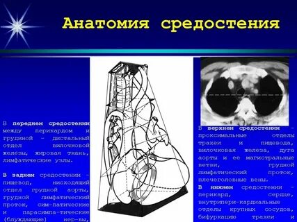 Повреждения средостения