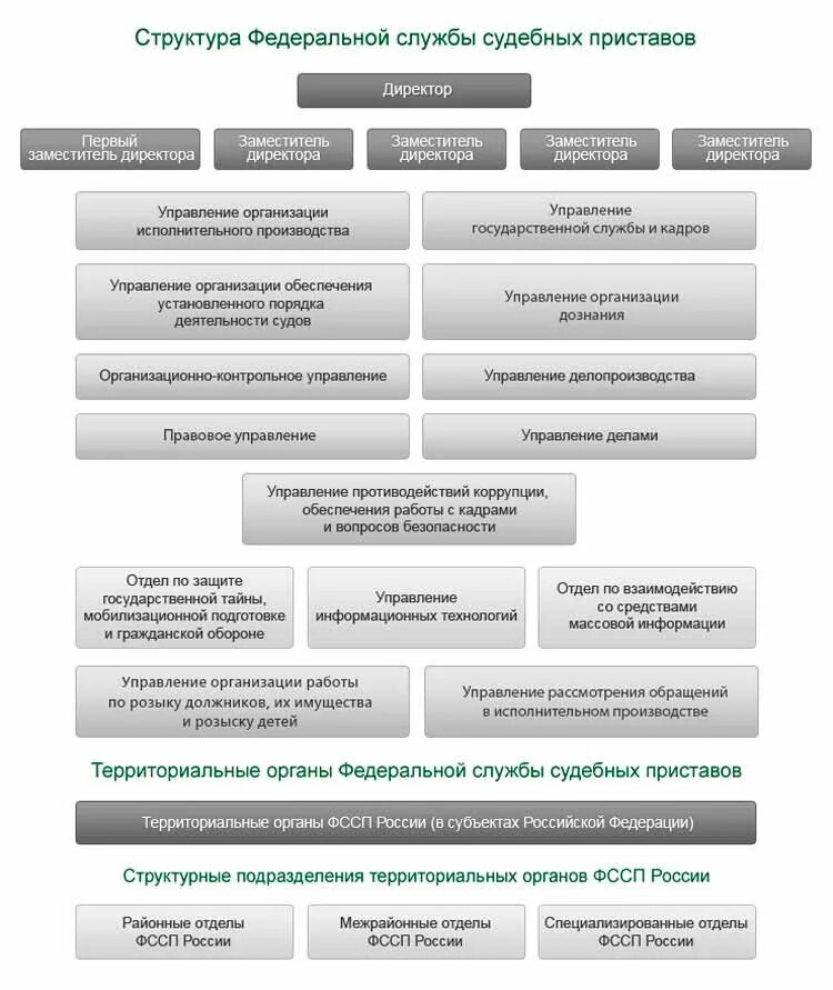 Отдел управления федеральной службы судебных. Структура отдела судебных приставов схема. Структура ФССП РФ схема. Структура органов ФССП РФ схема. Структура управления ФССП России.