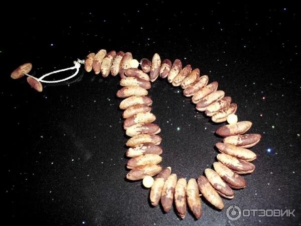 Четки из семян бодхи. Из косточек фиников четки. Бусы из финиковых косточек. Из косточек фиников четки. Тасбих четки из финиковых косточек.