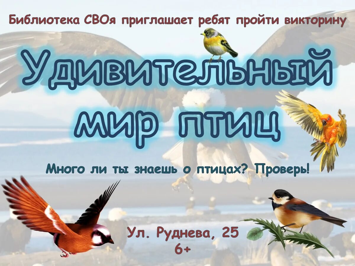 Сайт мир птиц. Журнал о птицах.