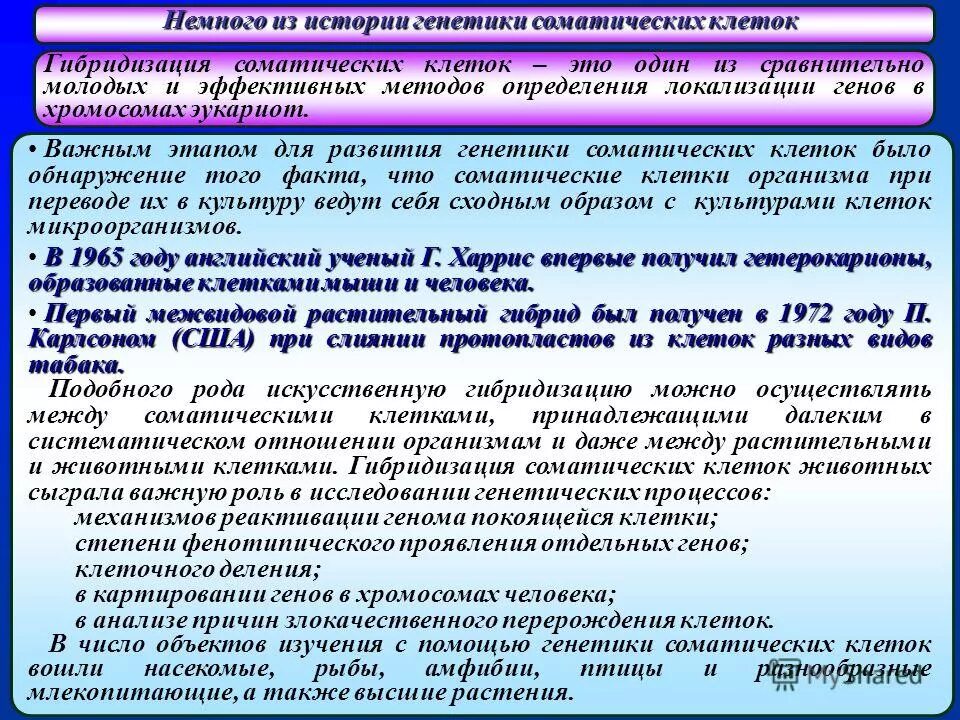гибридизация соматических клеток метод генетики человека. методы гибридизации соматических клеток. метод гибридизации соматических клеток. механизмы гибридизации соматических клеток. метод гибридизации соматических клеток человека.