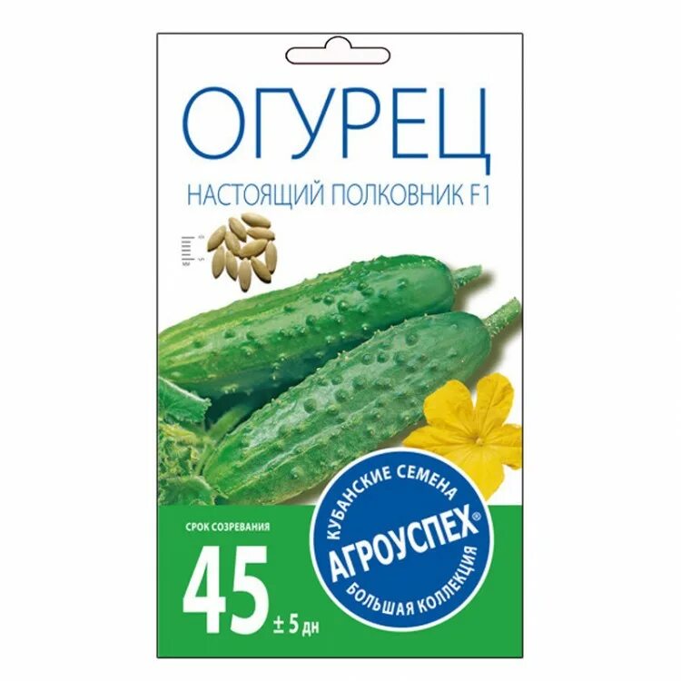 Настоящие огурцы