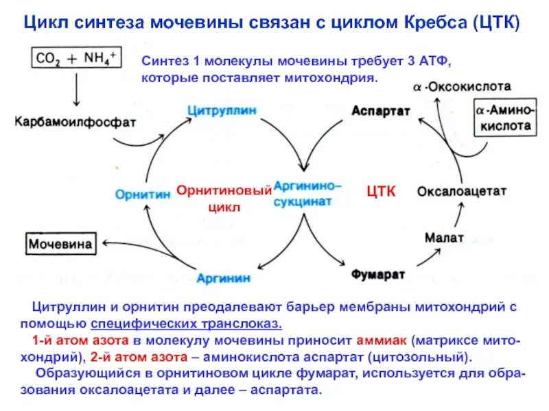 Синтезировать ошибку