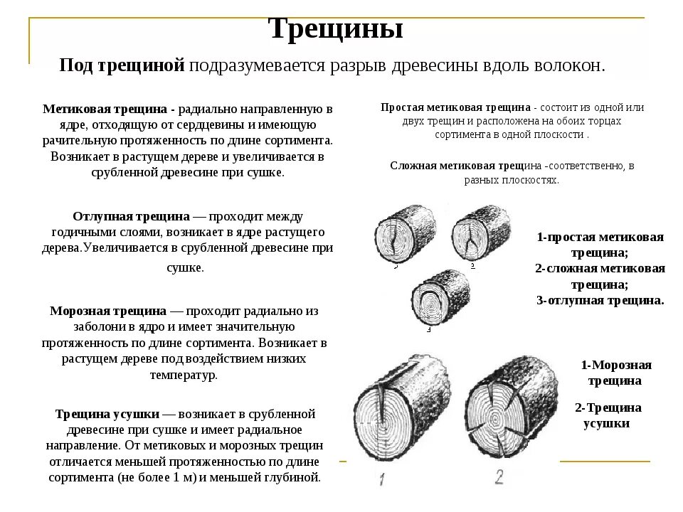 Метиковая трещина древесины. Классификация трещин древесины. Трещины усушки древесины. Пороки строения трещины древесины.