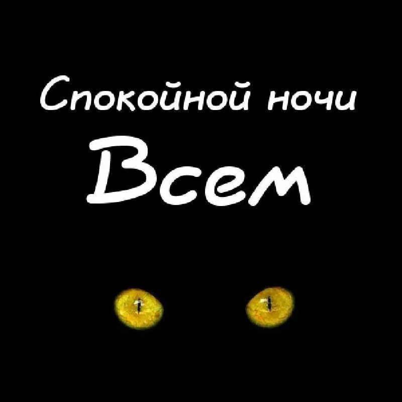 Группа закрыта на ночь. Всем спокойной ночи. Спокойной ночи группа. Доброй ночи группа. Спокойнойночкитдо завтра.