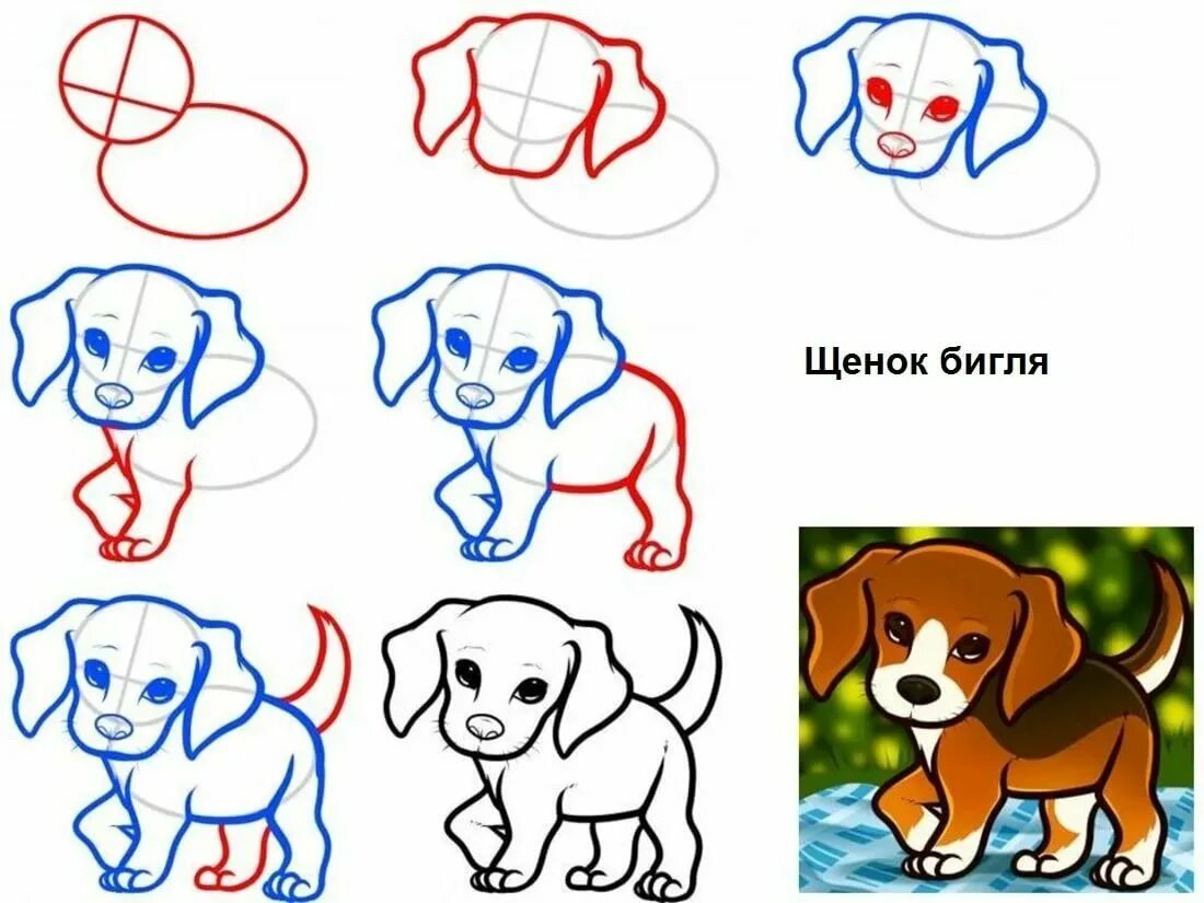 Как рисуется собака