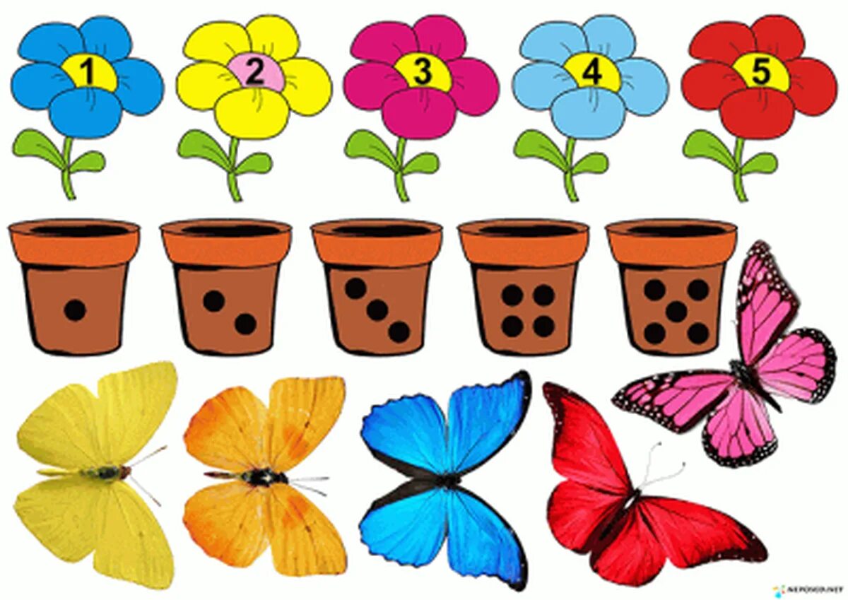Занятие цвет средняя группа. Цветочки для дошкольников. Цветы для дошкольников. Цвета для дошкольников. Цветочки цветные.