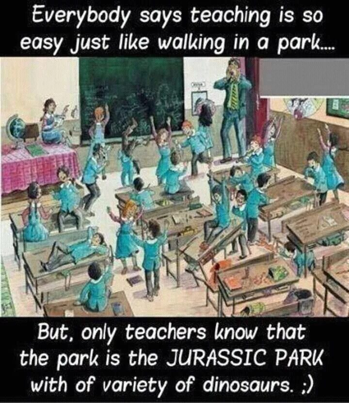 Teachers know that the most. Happy teachers day humor. funny teacher. teaching funny pictures.