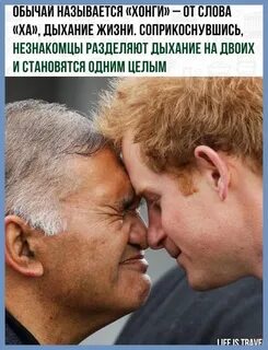 Тереться носами