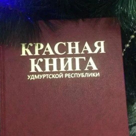 Вечер "Природа вокруг нас" Удмуртский государственный университет