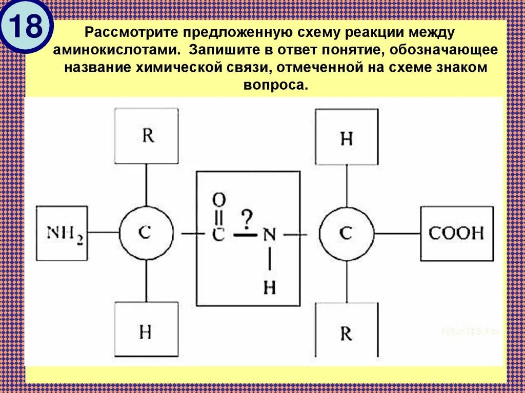 В соответствии со схемой реакции. Схема реакции между аминокислотами. рассмотрите предложенную схему реакции между аминокислотами. название химической связи между аминокислотами.